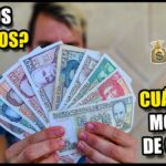 🇨🇺💵 Descubre los billetes cubanos actuales: guía completa para coleccionistas
