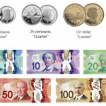 💰 Descubre todo sobre el 💲 Dólar Canadiense: Billetes, historia y características